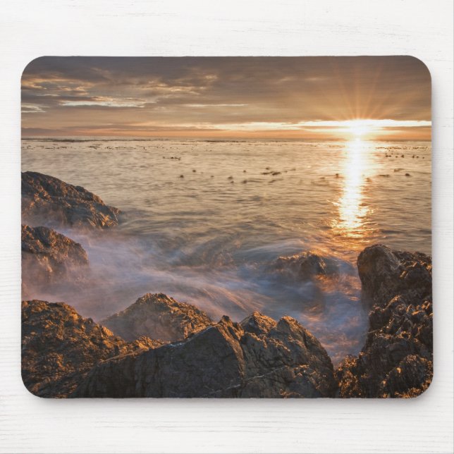 USA, Washington, San Juan Islands.  A dramatic Mouse Mat (Front)