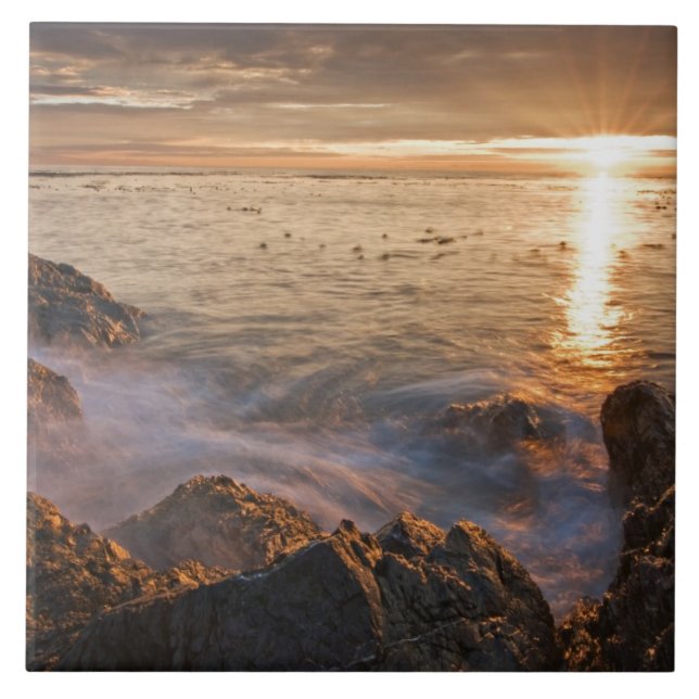 USA, Washington, San Juan Islands.  A dramatic Tile (Front)
