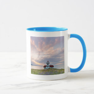 USA, Washington, San Juan Islands. Sunset Mug
