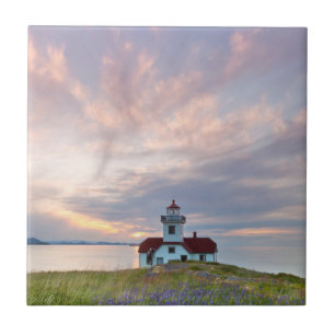 USA, Washington, San Juan Islands. Sunset Tile