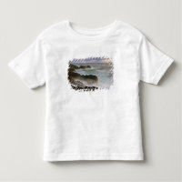 USA, Washington, San Juan Islands. Waves crash