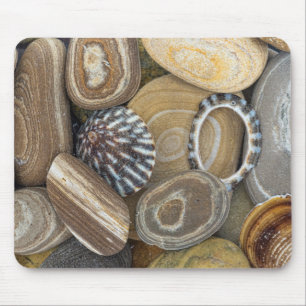 USA, Washington, Seabeck. Close-Up Of Beach Mouse Mat