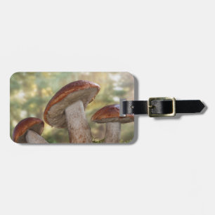 USA, Washington, Seabeck. Leccinum Insigne Luggage Tag