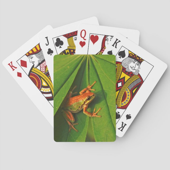USA, Washington, Seattle, Discovery Park 2 Playing Cards (Back)