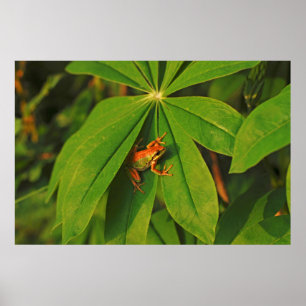 USA, Washington, Seattle, Discovery Park 2 Poster
