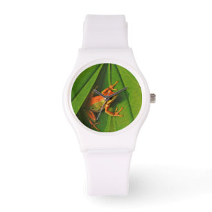 USA, Washington, Seattle, Discovery Park 2 Watch