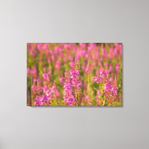USA, Washington, Seattle, Discovery Park 3 Canvas Print