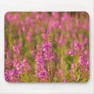 USA, Washington, Seattle, Discovery Park 3 Mouse Mat