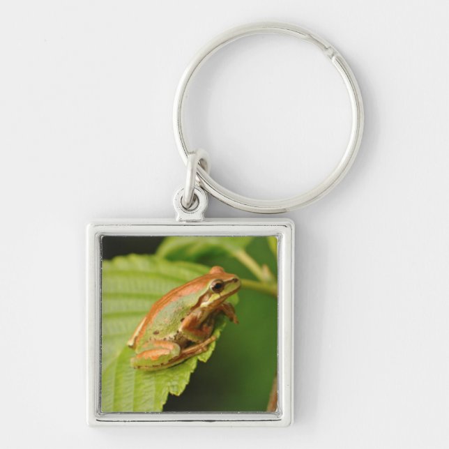 USA, Washington, Seattle, Discovery Park Key Ring (Front)