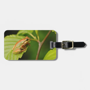 USA, Washington, Seattle, Discovery Park Luggage Tag