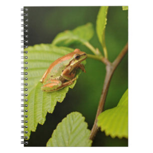 USA, Washington, Seattle, Discovery Park Notebook