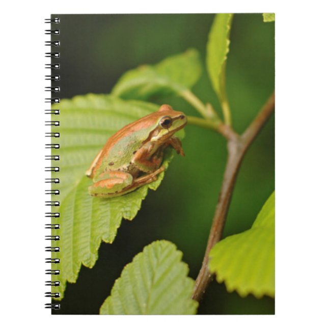 USA, Washington, Seattle, Discovery Park Notebook (Front)