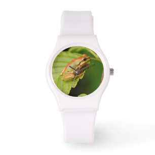 USA, Washington, Seattle, Discovery Park Watch