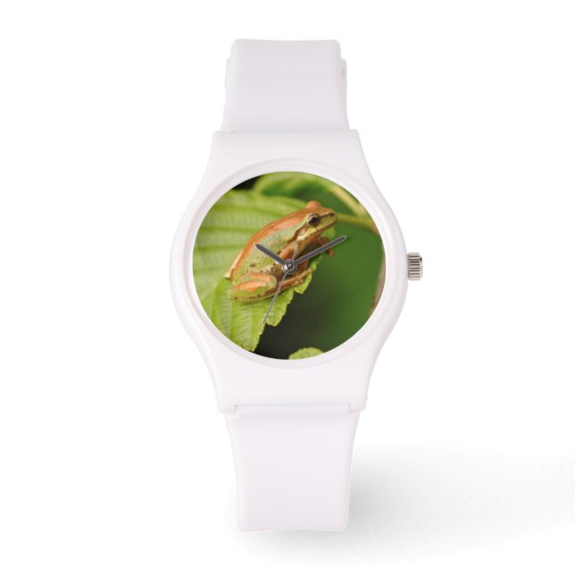 USA, Washington, Seattle, Discovery Park Watch (Front)