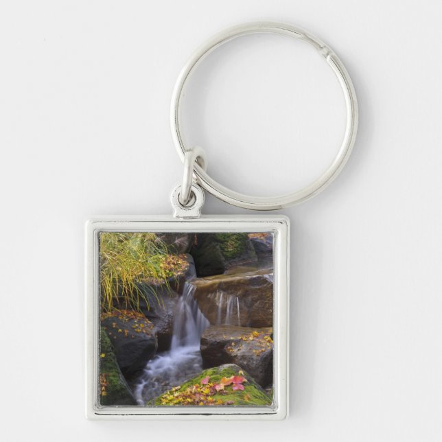 USA, Washington, Seattle Key Ring (Front)