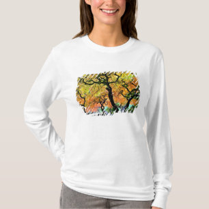 USA, Washington, Seattle, Kubota Garden. T-Shirt