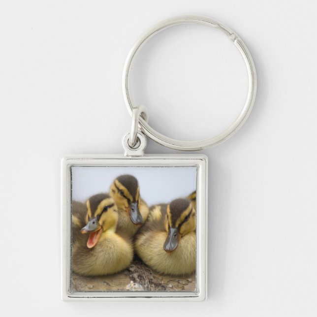 USA, Washington, Seattle, Lake Washington Key Ring (Front)