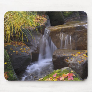 USA, Washington, Seattle Mouse Mat
