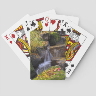 USA, Washington, Seattle Playing Cards