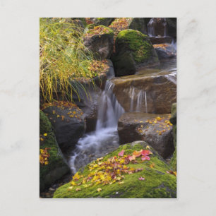 USA, Washington, Seattle Postcard