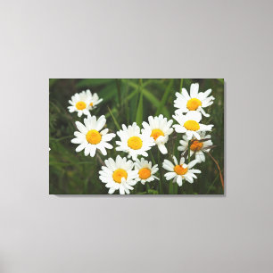 USA, Washington, Seattle, Puget Sound 3 Canvas Print