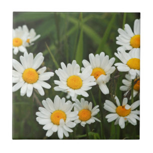 USA, Washington, Seattle, Puget Sound 3 Tile