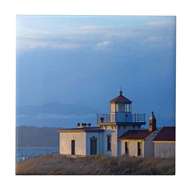 USA, Washington, Seattle, Puget Sound Tile (Front)