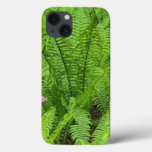 USA, Washington, Seattle, Washington Park iPhone 13 Case