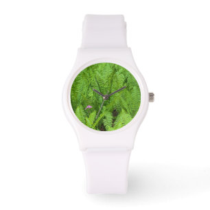 USA, Washington, Seattle, Washington Park Watch
