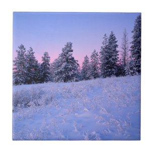 USA, Washington, Spokane County, Browne Mountain Tile