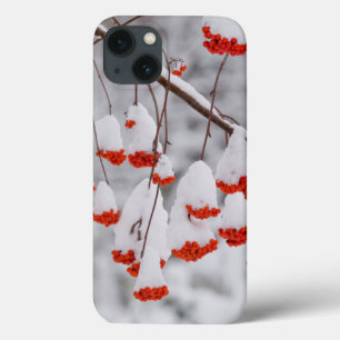 USA, Washington, Spokane County iPhone 13 Case