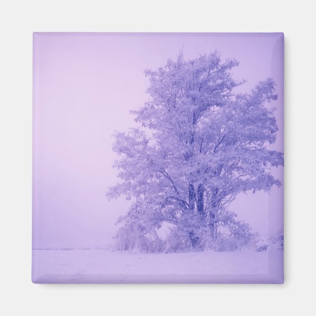USA, Washington, Spokane County, Frosted Magnet (Front)
