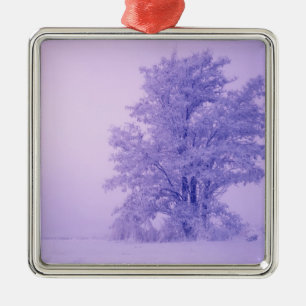 USA, Washington, Spokane County, Frosted Metal Tree Decoration