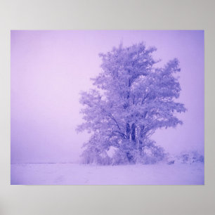 USA, Washington, Spokane County, Frosted Poster