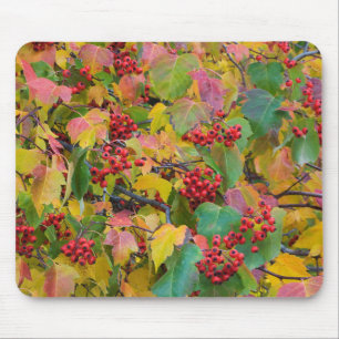 USA, Washington, Spokane County, Hawthorn Leaves 2 Mouse Mat