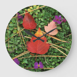 USA, Washington, Spokane County, Hawthorn Leaves 3 Large Clock