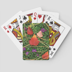 USA, Washington, Spokane County, Hawthorn Leaves 3 Playing Cards