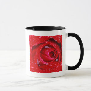 USA, Washington, Spokane County, Manito Park Mug