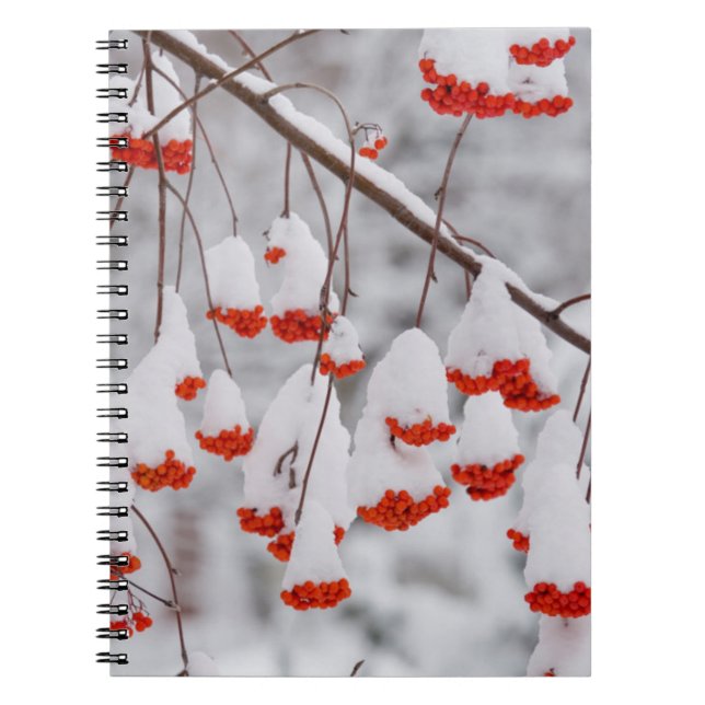 USA, Washington, Spokane County Notebook (Front)
