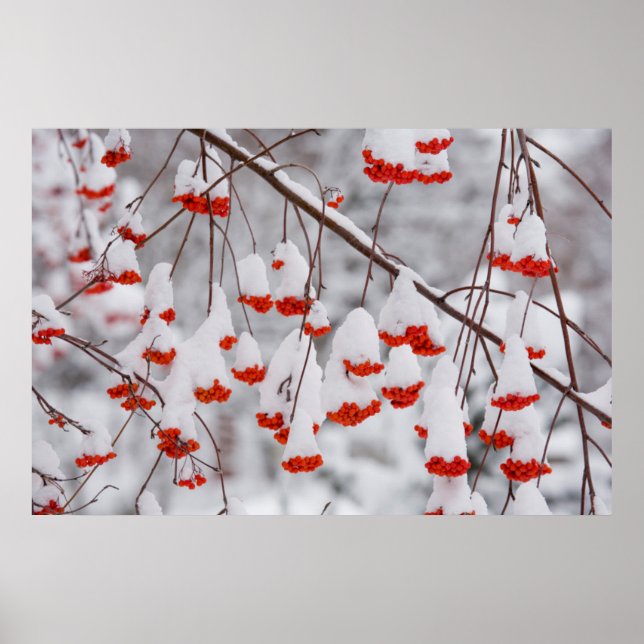 USA, Washington, Spokane County Poster (Front)