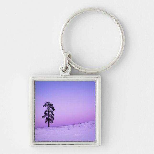 USA, Washington, Spokane County, Riverside Key Ring (Front)