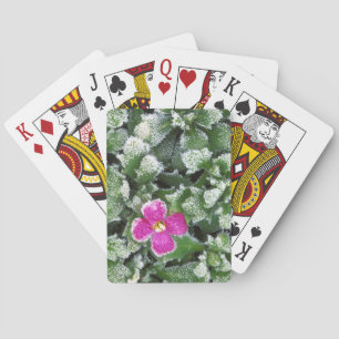 USA, Washington, Spokane County, Rockress Playing Cards