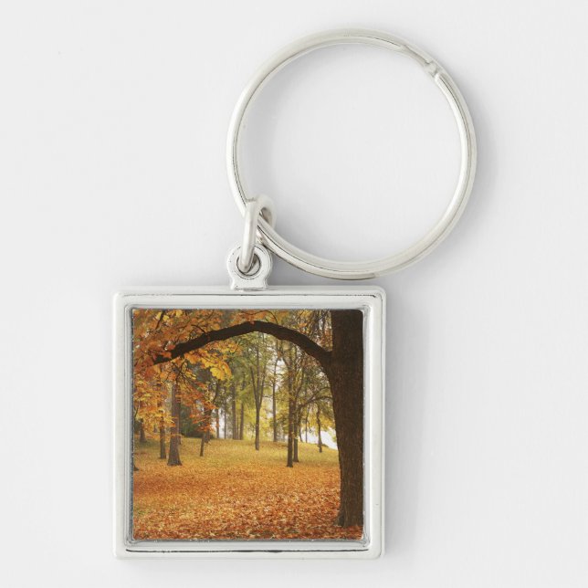 USA, Washington, Spokane, Manito Park, Autumn 2 Key Ring (Front)