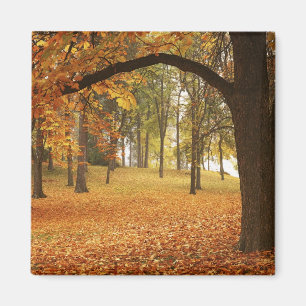 USA, Washington, Spokane, Manito Park, Autumn 2 Magnet