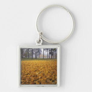 USA, Washington, Spokane, Manito Park, Autumn Key Ring