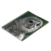 USA, Washington State. Barred Owl (Strix varia) Notebook (Left Side)