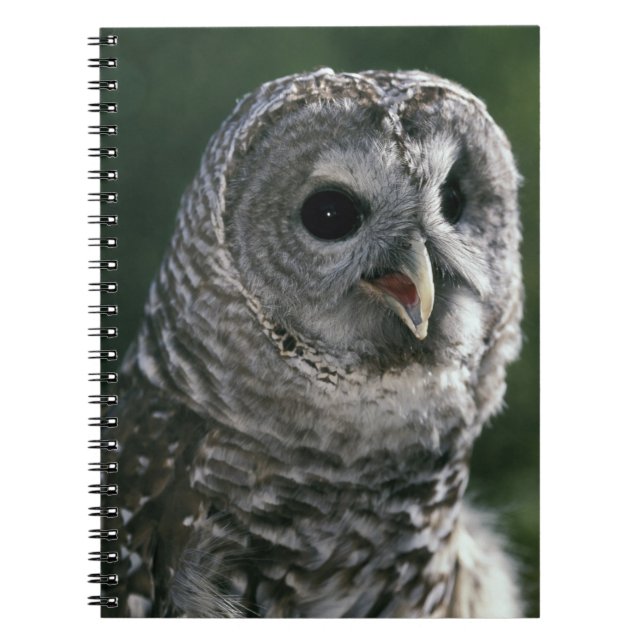 USA, Washington State. Barred Owl (Strix varia) Notebook (Front)
