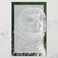 USA, Washington State. Barred Owl (Strix varia)