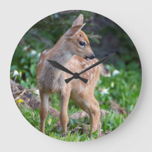 USA, Washington State. Blacktail Deer Fawn Large Clock