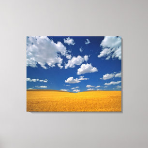 USA, Washington State, Colfax. Ripe barley meets Canvas Print